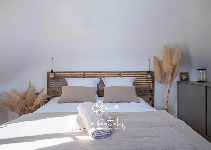 Havre De Paix Avec Jacuzzi - Hyper-centre Du Mans 펜션 *